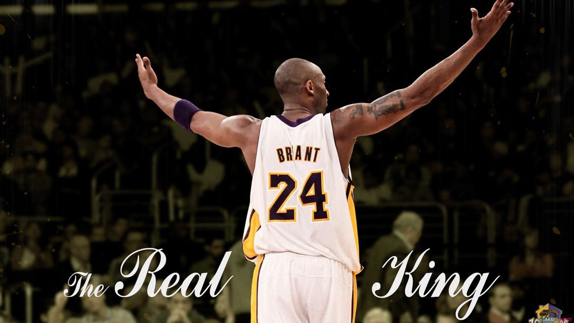 是否应强化球员语言多样性表达权利