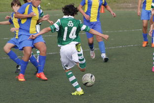 爱游戏官方主页-国际足球协会推动足球全民普及，青少年参与度飙升，各国青少年足球注册人口