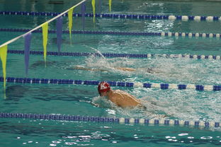 爱游戏APP-张雨霏自由泳赛段发力迅速，张雨霏自由泳实力